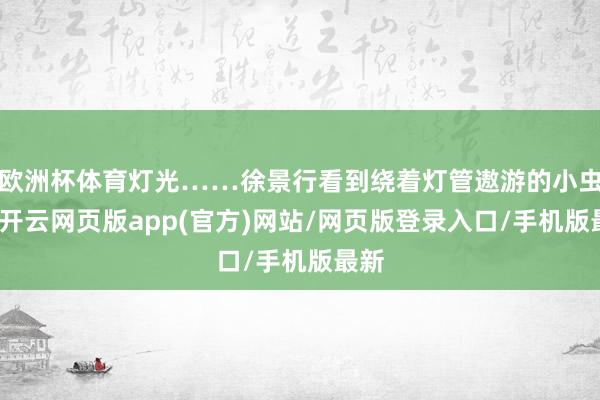 欧洲杯体育灯光……徐景行看到绕着灯管遨游的小虫子-开云网页版app(官方)网站/网页版登录入口/手机版最新